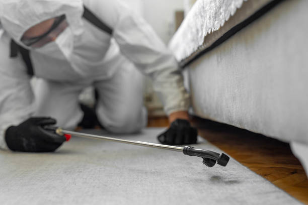 Professional Bed Bug Control technician working in East Pasadena, CA