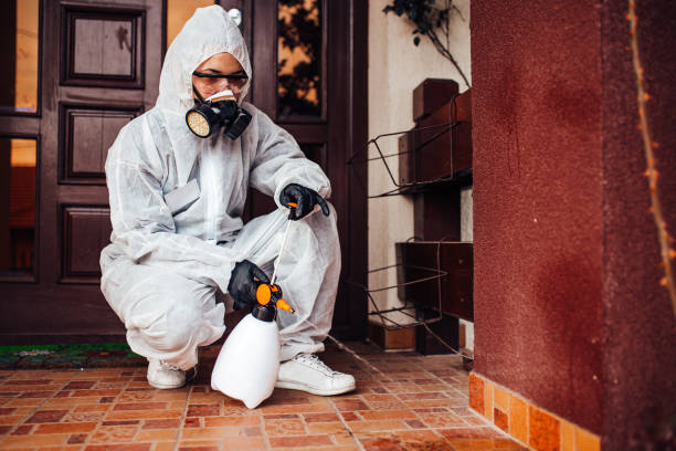 Reliable Bed Bug Control contractor in East Pasadena, CA by Nex Pest Control